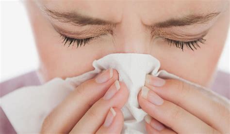 <b>Bllokimi</b> i hundëve është një rezultat i shumimit të baktereve në. . Bllokimi i hundeve nga alergjia